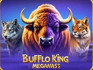 bufflo megawass
