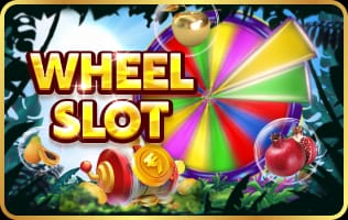 wheel slots