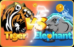 tiger vs elephant